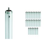 Confezione Multipack 25x Philips TL - X XL 40W - 640 Bianco Freddo | 120cm