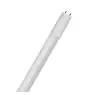 Ledvance Tubo LED T8 Superior (EM/Mains) Ultra Output 22.1W 4100lm - 840 Bianco Freddo | 150cm - Sostitutiva 58W - Soffitto Alto