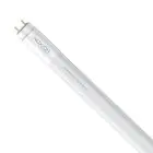 Noxion Tubo LED T8 Avant Extreme (HF) High Output 14W 2100lm - 840 Bianco Freddo | 120cm - Sostitutiva 36W